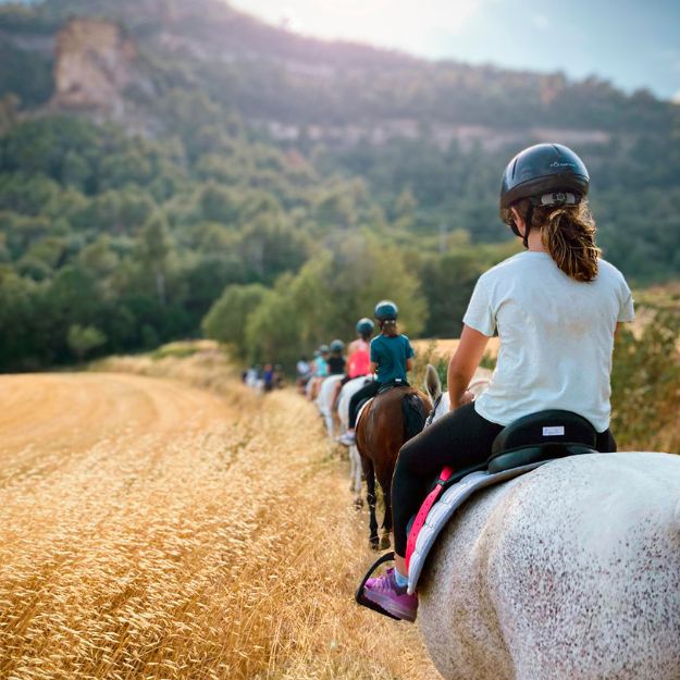 hipica colonies estiu eix estels (1)