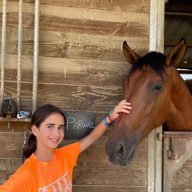 hipica colonies estiu eix estels (16)