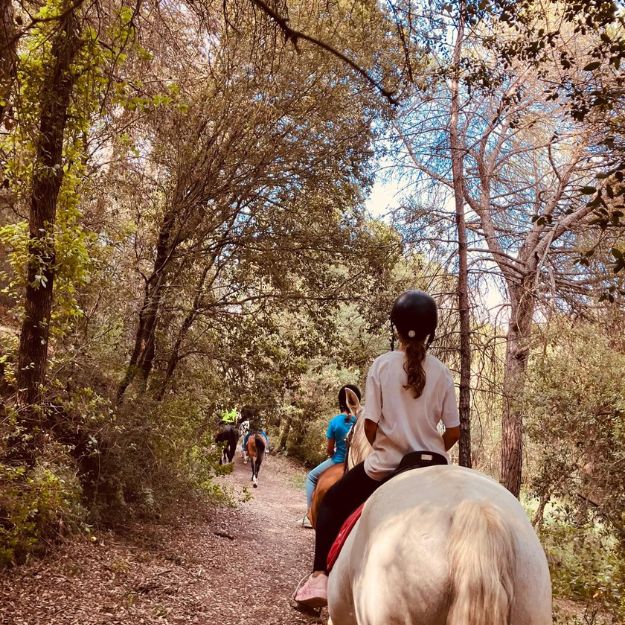 hipica colonies estiu eix estels (3)