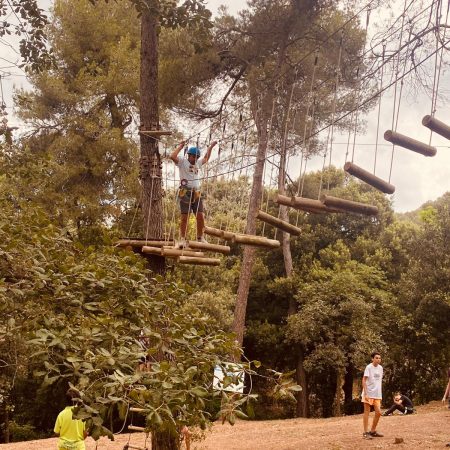 cca5f2a0-27fc-4512-8b16-fa9683fee8cf